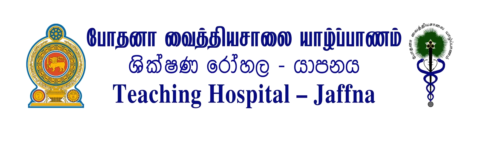 Brand Logo 1
